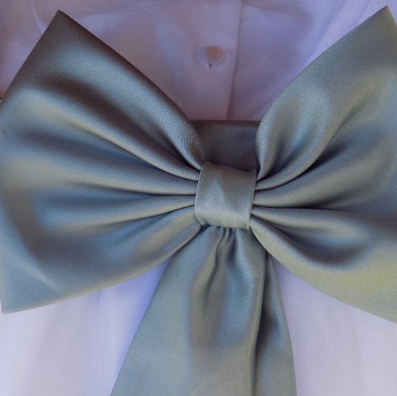 Brand New David's Bridal Flower Girl Dress size 5 - Picture 6 of 7